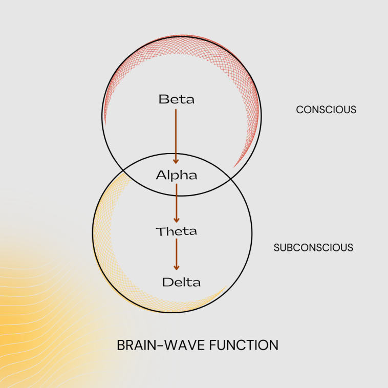 Gradient Abstract Education Venn Diagram